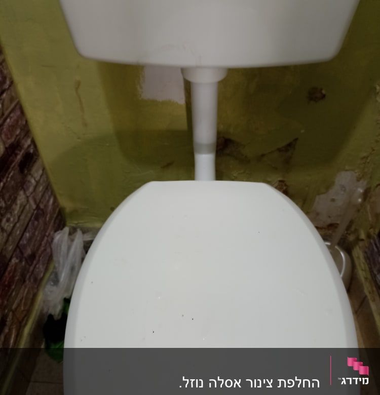 אסלה לבנה עם מיכל הדחה על קיר ירוק